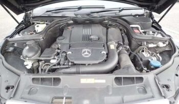 Import Mercedes-Benz C-Class 2010 full