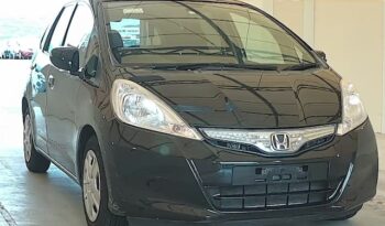 Import Honda Fit Hybrid 2010 full